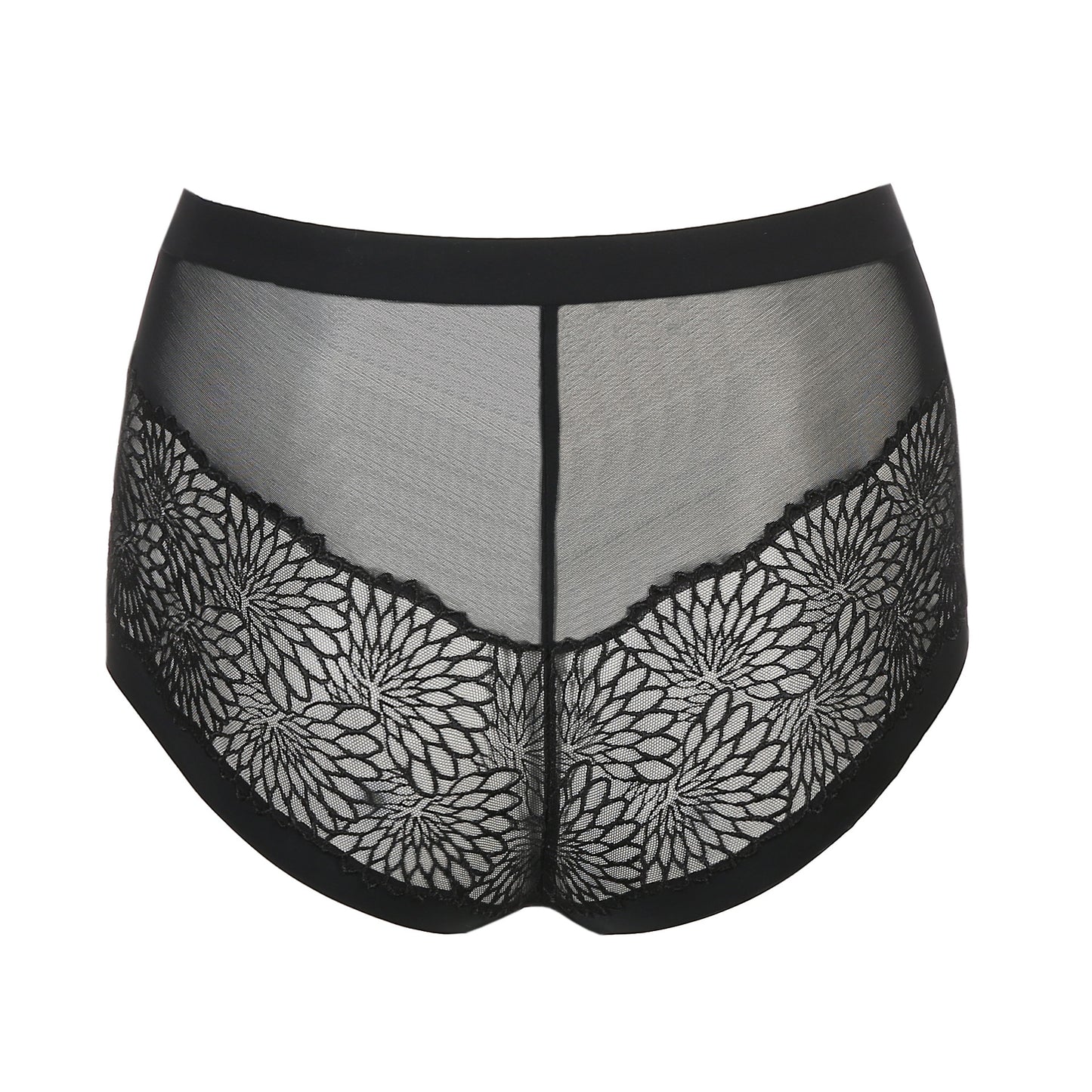 Hotpants Sophora 0563182